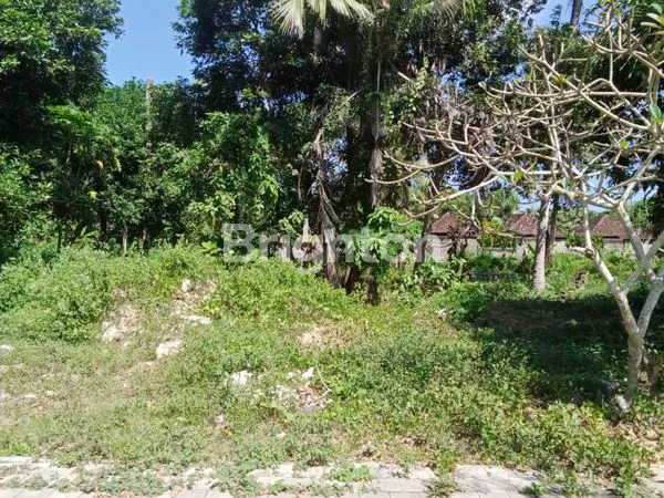 image TANAH DIDAERAH WISATA LEMBONGAN DEKAT PANTAI SEGARA JUNGUTBATU (2)