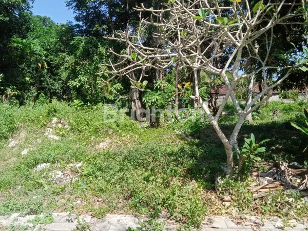 image TANAH DIDAERAH WISATA LEMBONGAN DEKAT PANTAI SEGARA JUNGUTBATU (4)