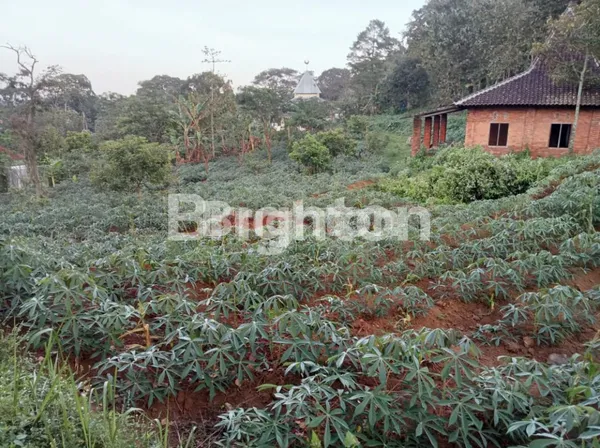 image TANAH TRAWAS (1)