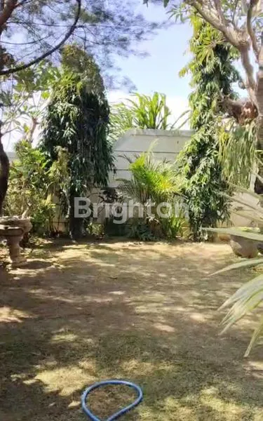 RUMAH BESAR HALAMAN LUAS VIEW SAWAH