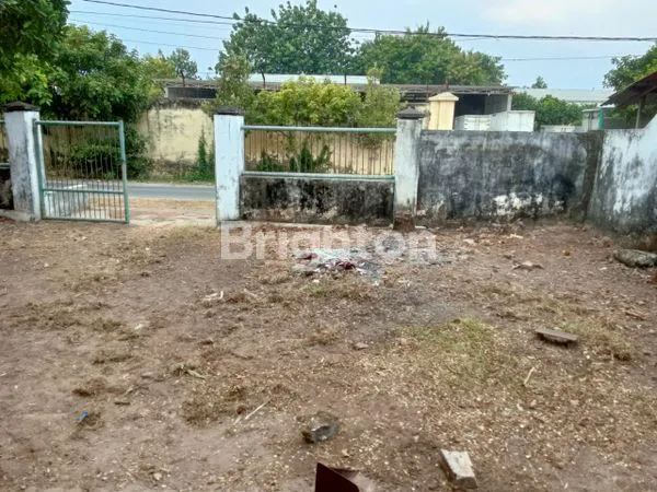 image RUMAH HITUNG TANAH DI NOL JALAN RAYA DI TUBAN  (4)