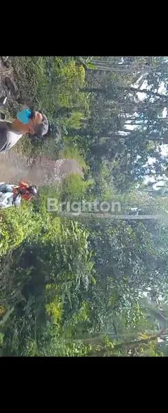 image INVESTASI TANAH LOS PANTAI BALI 8,3 HEKTAR SHM (2)