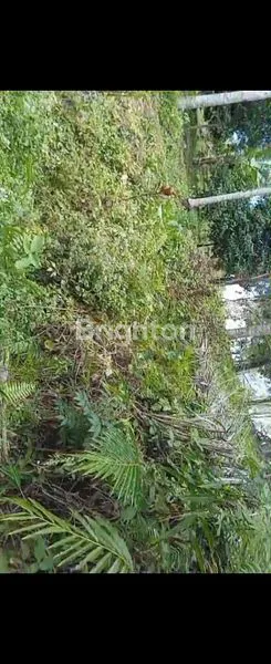 image INVESTASI TANAH LOS PANTAI BALI 8,3 HEKTAR SHM (6)