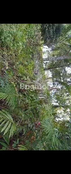 INVESTASI TANAH LOS PANTAI BALI 8,3 HEKTAR SHM