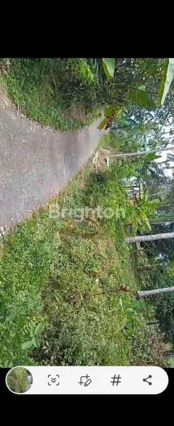 image INVESTASI TANAH LOS PANTAI BALI 8,3 HEKTAR SHM (5)