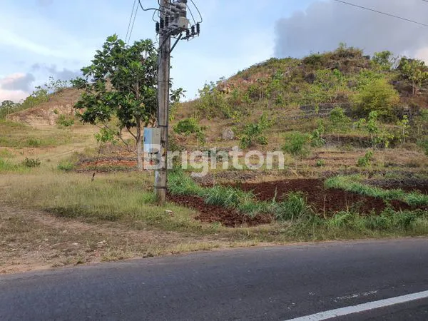 image TANAH STRATEGIS 1,5 HA DI GUNUNG KIDUL, YOGYAKARTA (4)