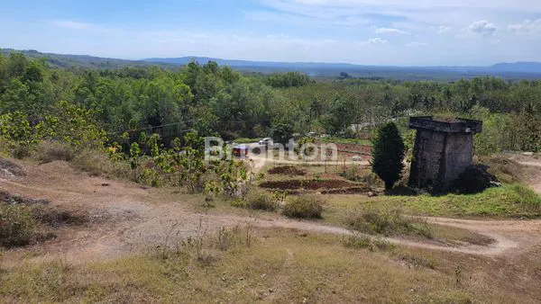 image TANAH STRATEGIS 1,5 HA DI GUNUNG KIDUL, YOGYAKARTA (7)