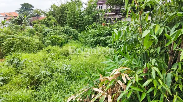 image TANAH KOSONG 2.024 METER LOKASI STRATEGIS PINGGUR JALAN RAYA SUKMAJAYA (4)