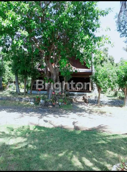 image TANAH LOSS PANTAI PLUSH BANGUNAN BALI UTARA (6)