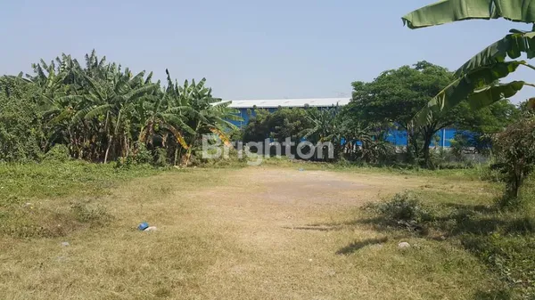 image TANAH DARMO SUGONDO (1)