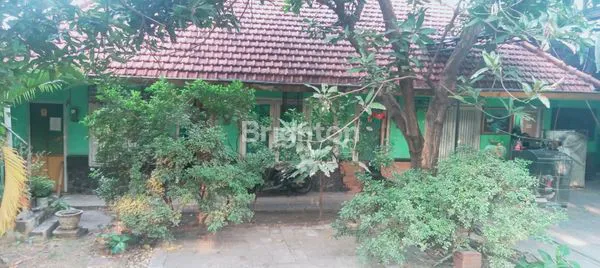 image RUMAH STRATEGIS LUAS AYANI DEKAT MARGOREJO WONOKROMO, JOYOBOYO (4)