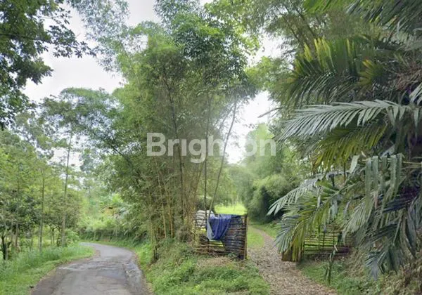 TANAH PERKEBUNAN PUSPO PASURUAN DEKAT DENGAN BROMO PASURUAN