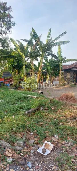 image TANAH 975M2 JL KALIMANTAN PONOROGO (1)