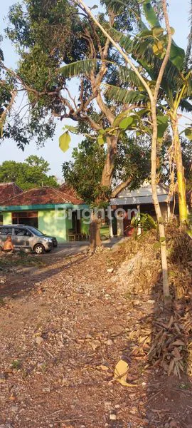 image TANAH 975M2 JL KALIMANTAN PONOROGO (3)