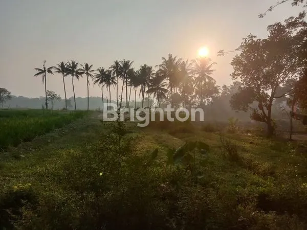 TANAH PEKARANGAN DI KEPUNG