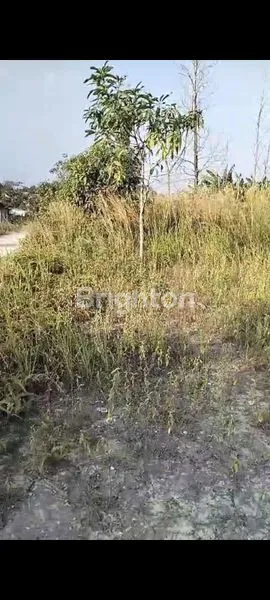 image TANAH DIGARUDA SAKTI JL. SANGGUL UKA (1)