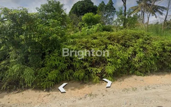 image TANAH DIGARUDA SAKTI JL. SANGGUL UKA (3)