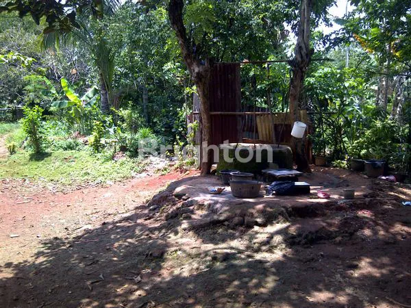 KAVLING CIRIUNG CIBINONG JAWA BARAT