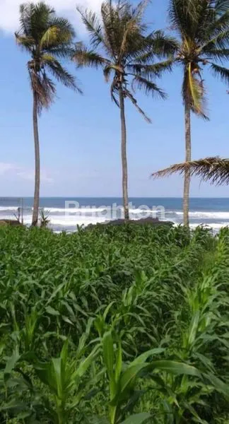 image BEACH FRONT LAND IN THE FAMOUS SUNSET SPOT (5)