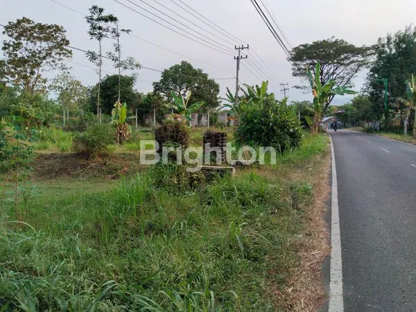 image TANAH, WISATA SEJUK & SIAP BANGUN (3)