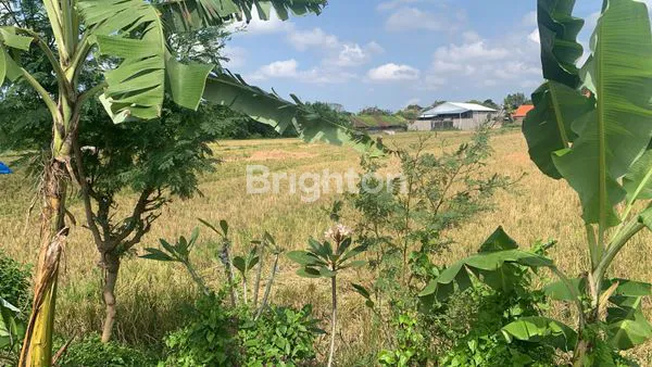 image 16 ARE TANAH SIAP BANGUN GUDANG DI MENGWITANI DEKAT TERMINAL BARU (5)