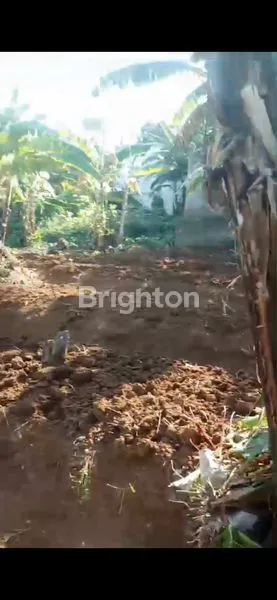 image TANAH KOSONG DI BUKIT MANGLAYANG CILEUNYI BANDUNG (1)