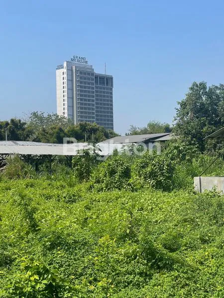 image JARANG ADA TANAH 1,7 HEKTAR STRATEGIS JALAN RAYA UTAMA SOLOBARU, EX PETERNAKAN (6)