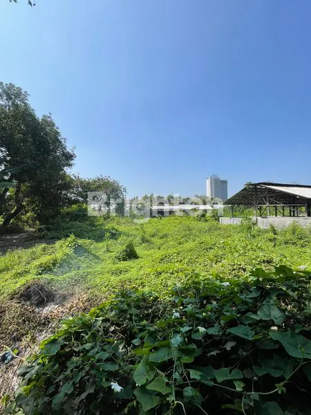 image JARANG ADA TANAH 1,7 HEKTAR STRATEGIS JALAN RAYA UTAMA SOLOBARU, EX PETERNAKAN (7)