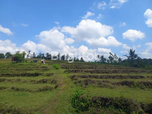 image TANAH LOKASI STRATEGIS DEKAT TOL BARU SELEMADEG (1)