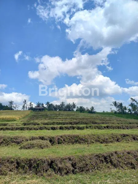 image TANAH LOKASI STRATEGIS DEKAT TOL BARU SELEMADEG (2)