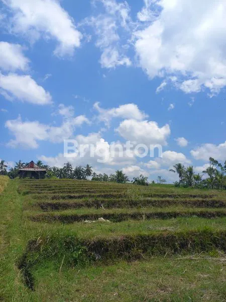 image TANAH LOKASI STRATEGIS DEKAT TOL BARU SELEMADEG (5)