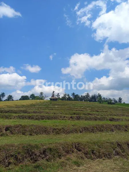 image TANAH LOKASI STRATEGIS DEKAT TOL BARU SELEMADEG (7)