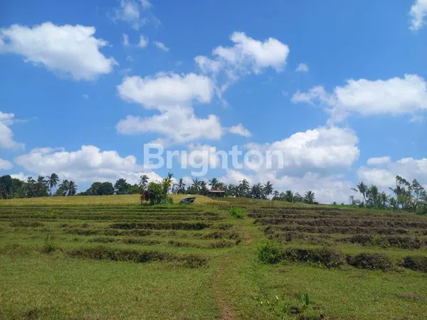 image TANAH LOKASI STRATEGIS DEKAT TOL BARU SELEMADEG (8)