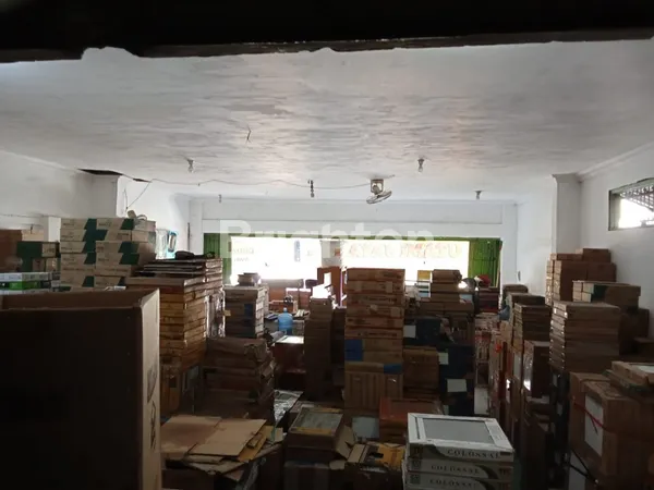 image RUKO MANUKAN TAMA (5)