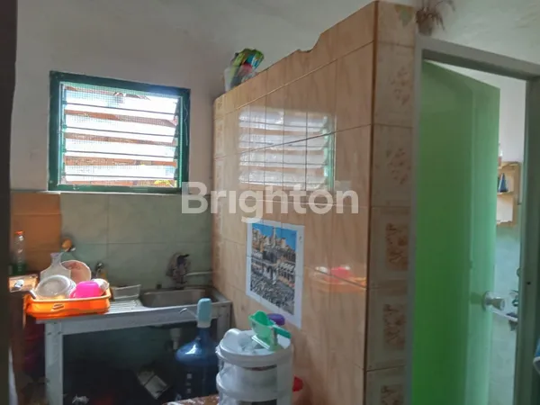 image RUKO MANUKAN TAMA (6)