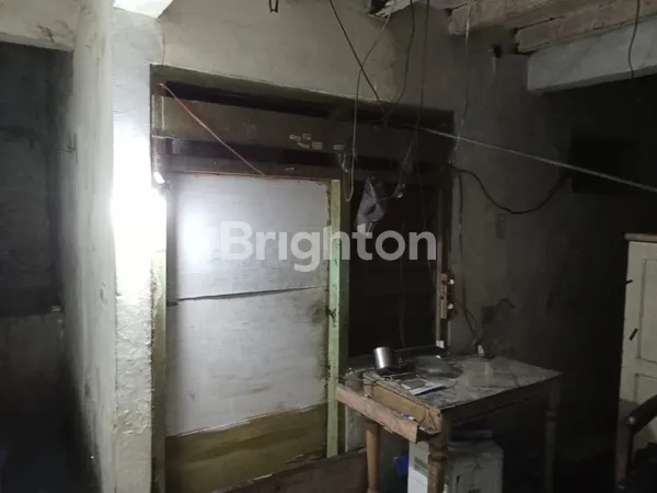 image RUKO MANUKAN TAMA (7)