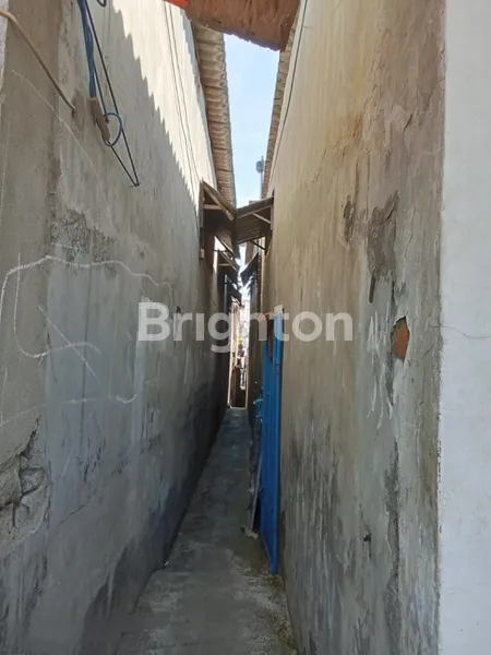 image RUKO MANUKAN TAMA (8)