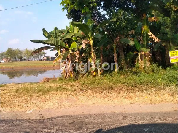 image TANAH DIJUAL (1)