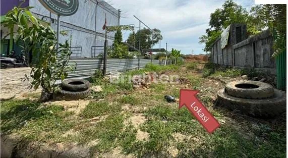 image TANAH SELUAS 8197 METER DIPINGGIR JALAN COCOK UNTUK BUKA USAHA KULINER (1)