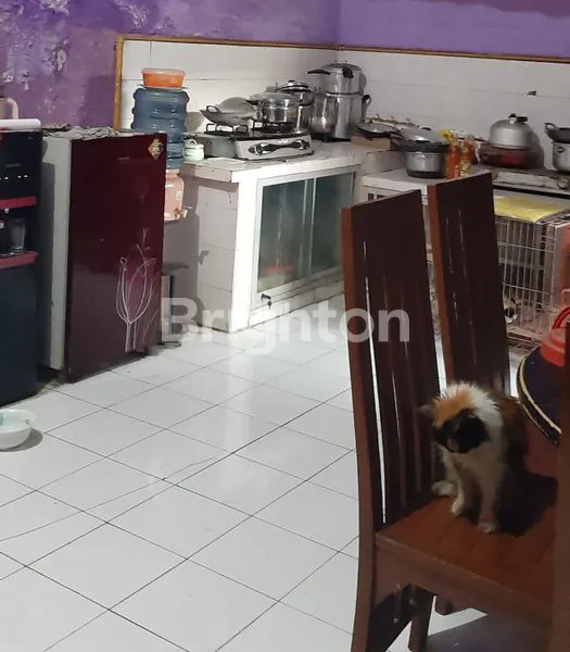 image RUMAH ASRI DAN NYAMAN DI GRESIK (6)