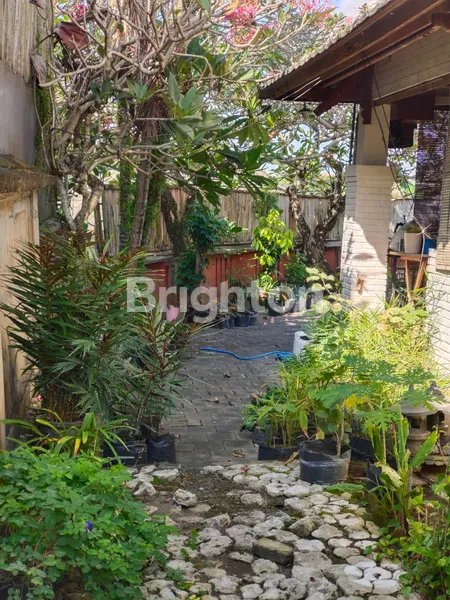 image RUMAH SEMPIDI BALI SIAP HUNI LINGKUNGAN ASRI DEKAT RAYA PADANG LUWIH (7)
