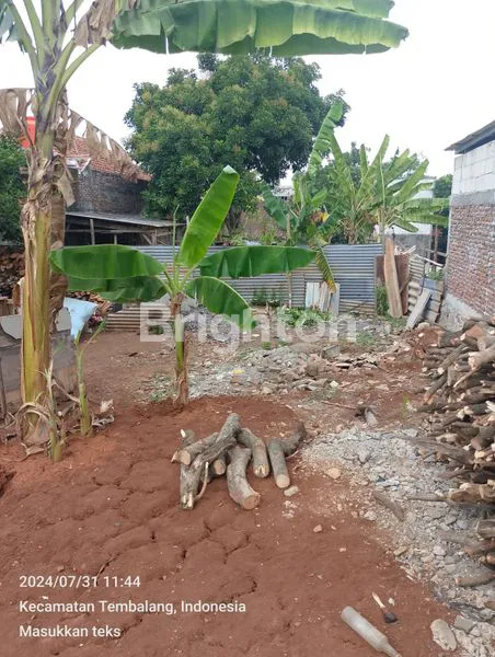 image TANAH RING I UNDIP TEMBALANG (4)