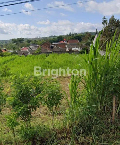 image TANAH STRATEGIS DI BATU MALANG  (2)