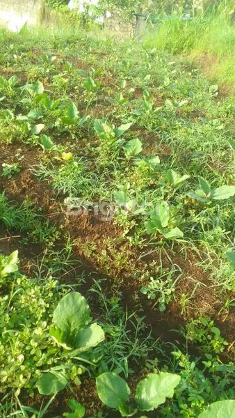 image TANAH STRATEGIS DI BATU MALANG  (4)