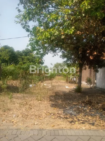 image TANAH BUNUT (1)