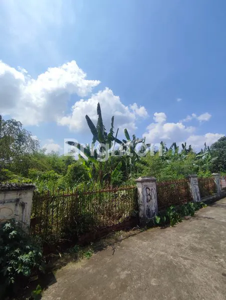 image TANAH 200M DARI JALAN SUDIRMAN  (6)