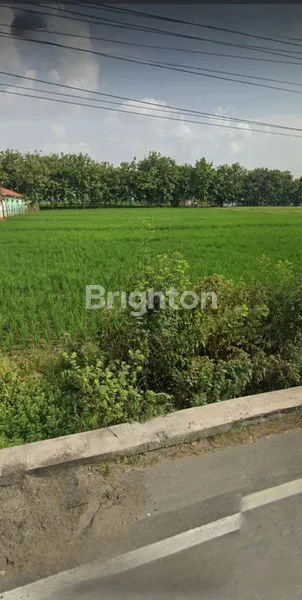 TANAH STRATEGIS PINGGIR JALAN RAYA SAMPING RS PKU MUHAMMADIAH MASARAN SRAGEN