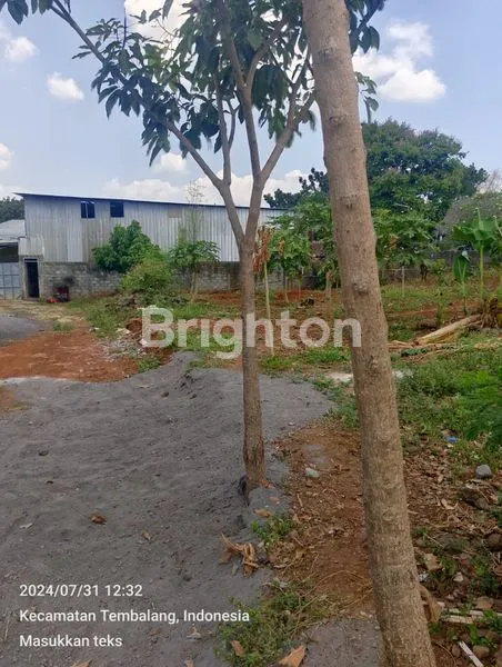 image TANAH UNDIP TEMBALANG BEBAS BANJIR (1)