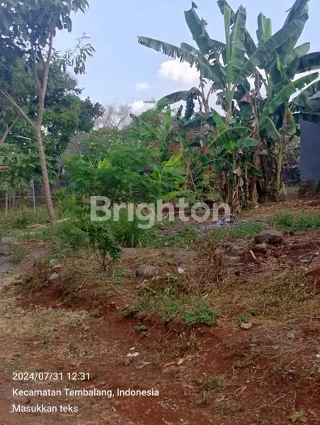 image TANAH UNDIP TEMBALANG BEBAS BANJIR (3)