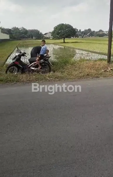 image TANAH ZONA KUNING JL RAYA GAWOK (1)